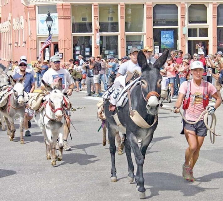 76th Annual Burro Days Celebration – This Weekend in Fairplay!