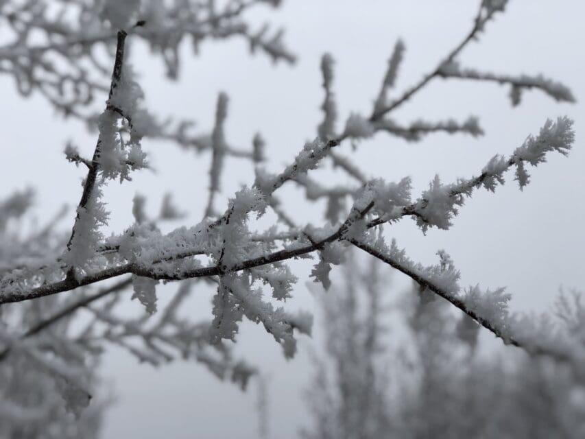 — Winter Travel Alert —