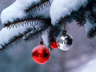 Busy Weekend Ahead in Chaffee County: Winter Farmers Market, Toy Swap, and Hoop Shoot