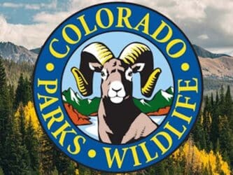 CPW Urges Residents to Be Bear Aware, Announces $1M in Grants