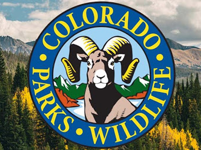 Colorado Parks and Wildlife Wants Your Input on Big Horn Sheep Management Plan