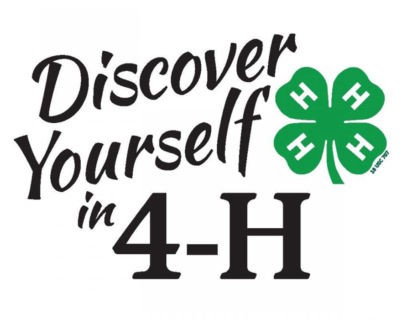 Chaffee & Lake County 4-H Celebrates Youth, Volunteers, and Community at 2025Achievement Banquet
