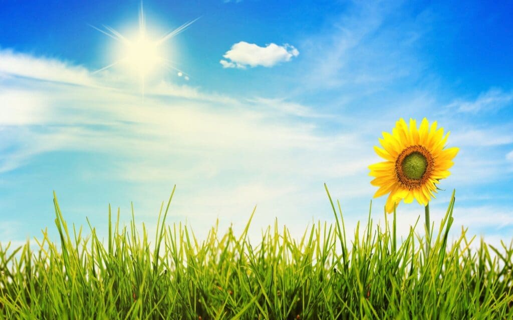 Thursday June 26th Weather Forecast