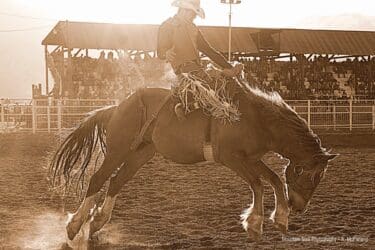 Collegiate Peaks Stampede Rodeo Returns to Buena Vista This Weekend