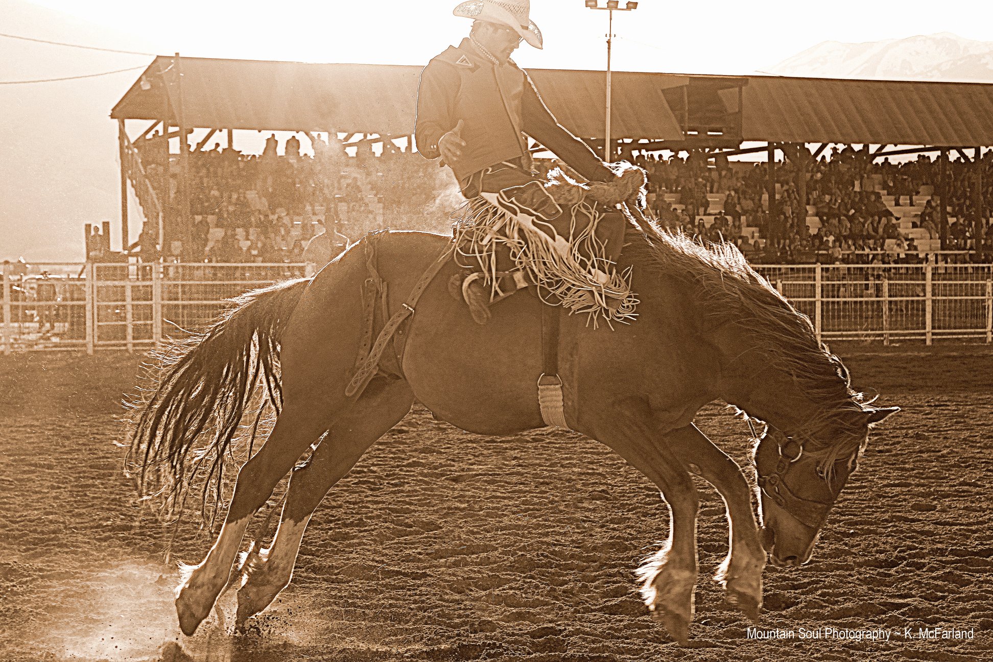 Collegiate Peaks Stampede Rodeo Returns to Buena Vista This Weekend