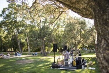 BV Concert in the Park tonight
