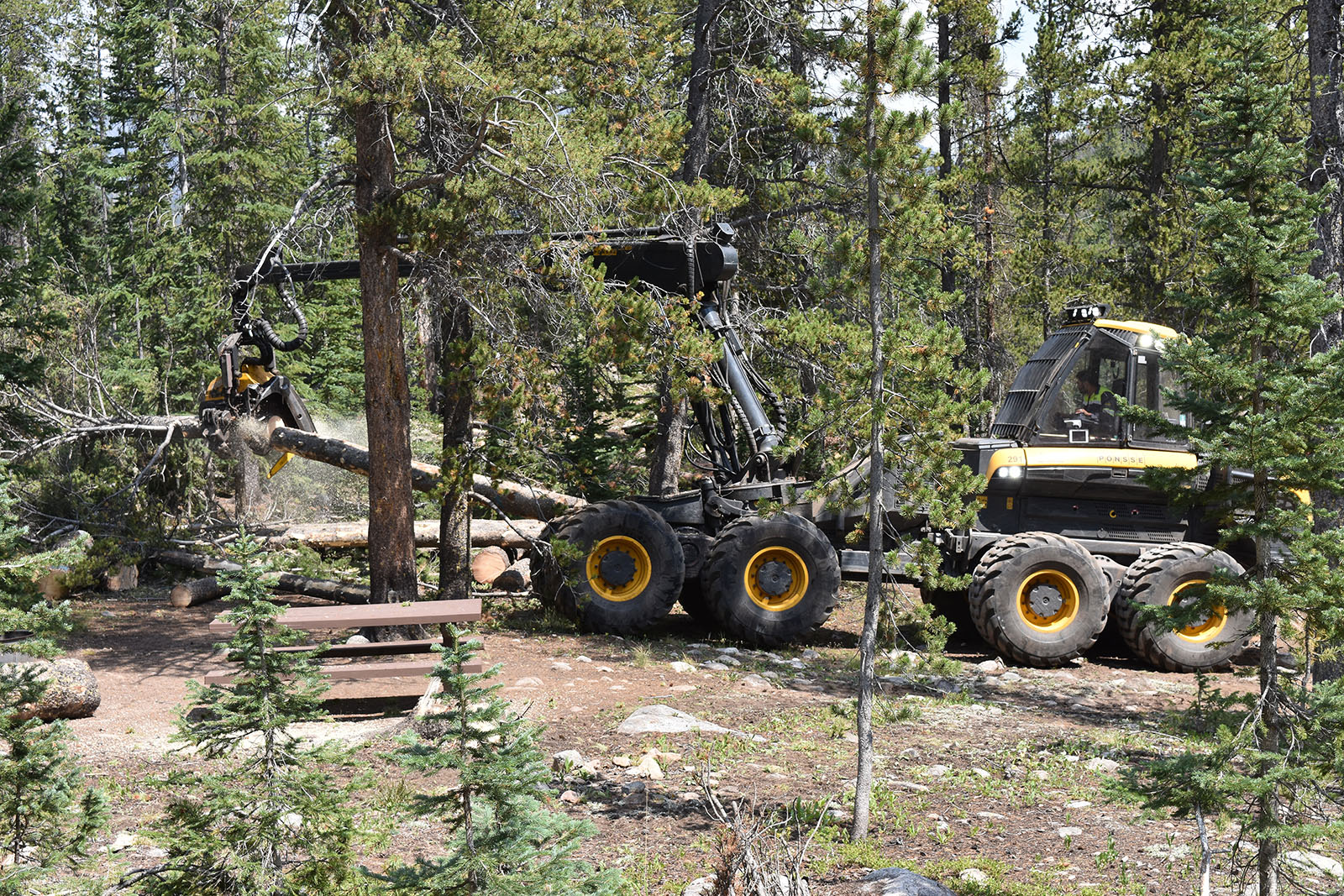 Monarch Pass project addresses beetle-kill trees on steep slopes