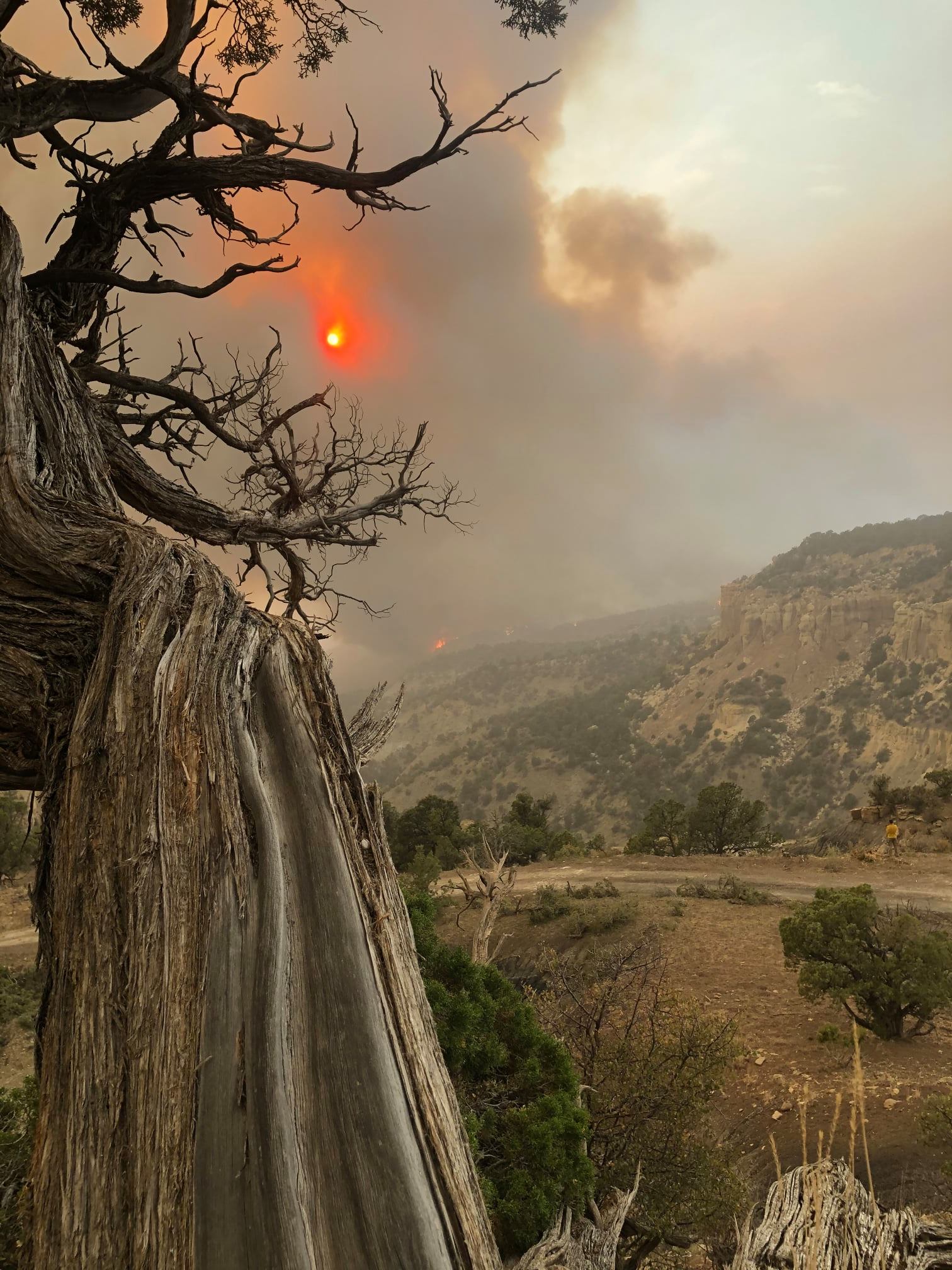 Wildfire Update: Monday, August 24, 2020