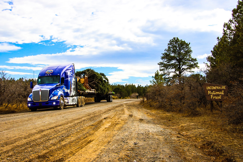 U.S. Capitol Christmas Tree to Visit Salida