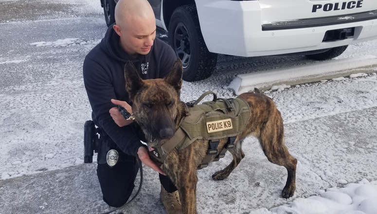 Salida Welcomes Newest Officer: K-9 Sarge