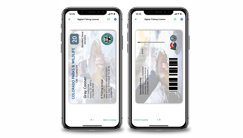 Fishing Licenses Now Available on myColorado app