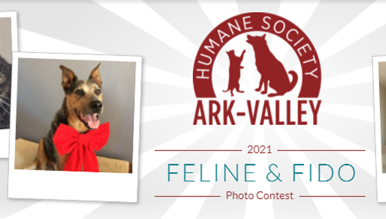 Submissions Are Open for The Ark-Valley Humane Society’s 5th Annual Feline & Fido Photo Contest