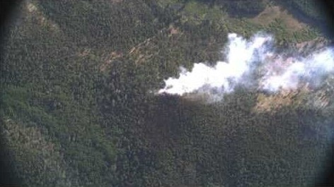 Hicks Fire Burning in Gunnison National Forest