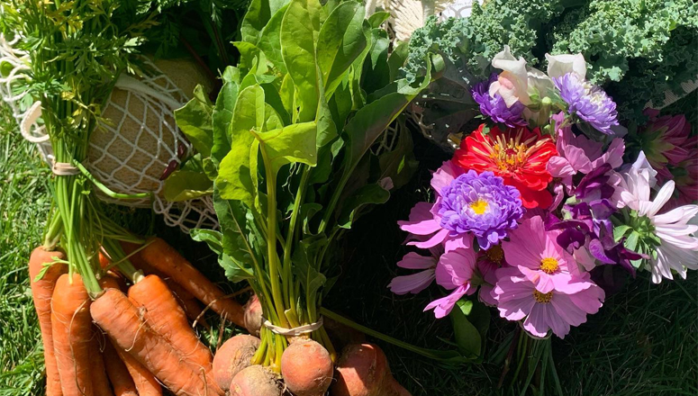 Buena Vista Farmers Market to Return Under New Management After Foodshed Alliance Exit