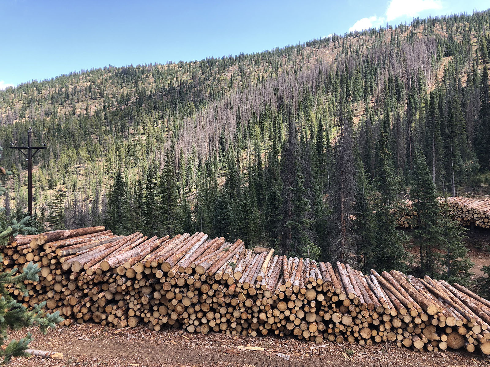 Making a Difference at Monarch Pass