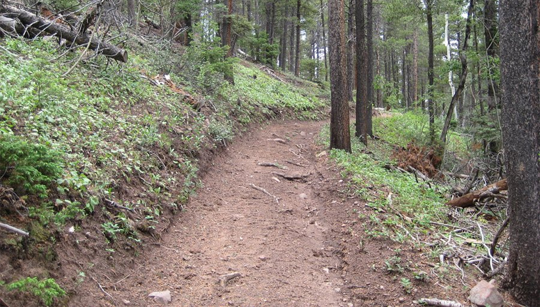 Damaged Portion of Rainbow Trail Rerouted From Forest Service To BLM Managed Land