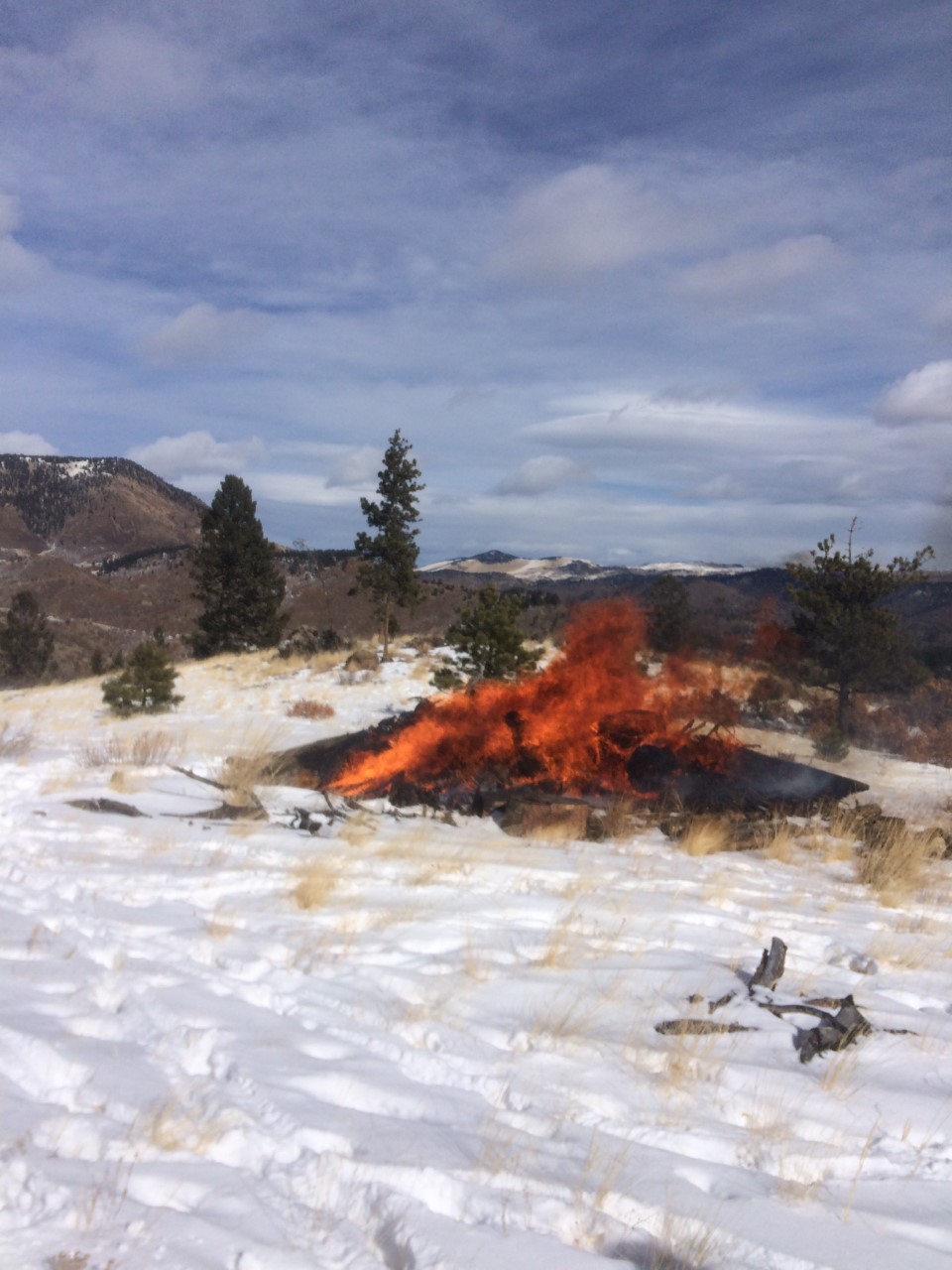 Bureau of Land Management plans nine pile burns in Southeastern Colorado