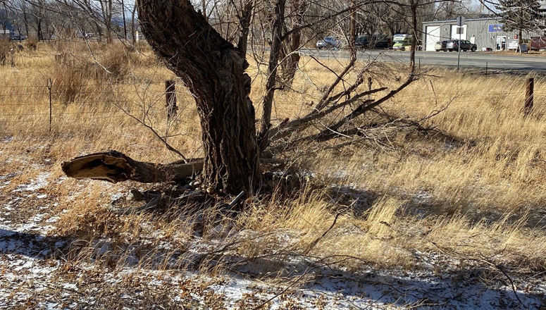 High Winds Ravaged Colorado Yesterday