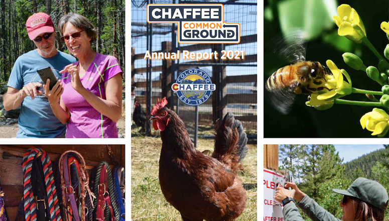 Chaffee Common Ground 2021 Annual Report released