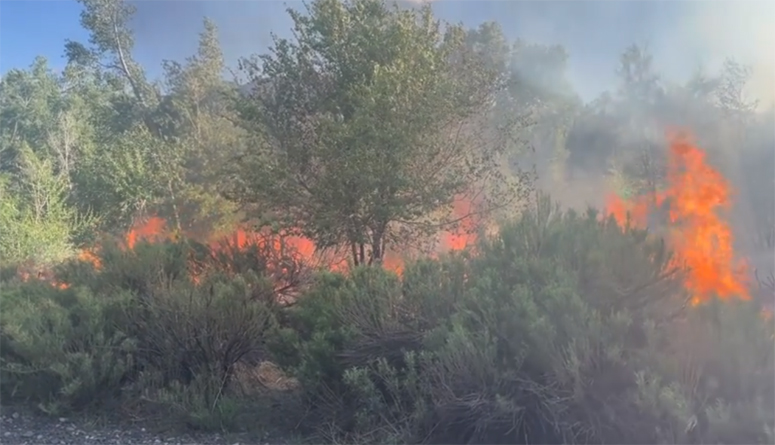 Salida Fire Department Called Out on Wildfire Tuesday Evening