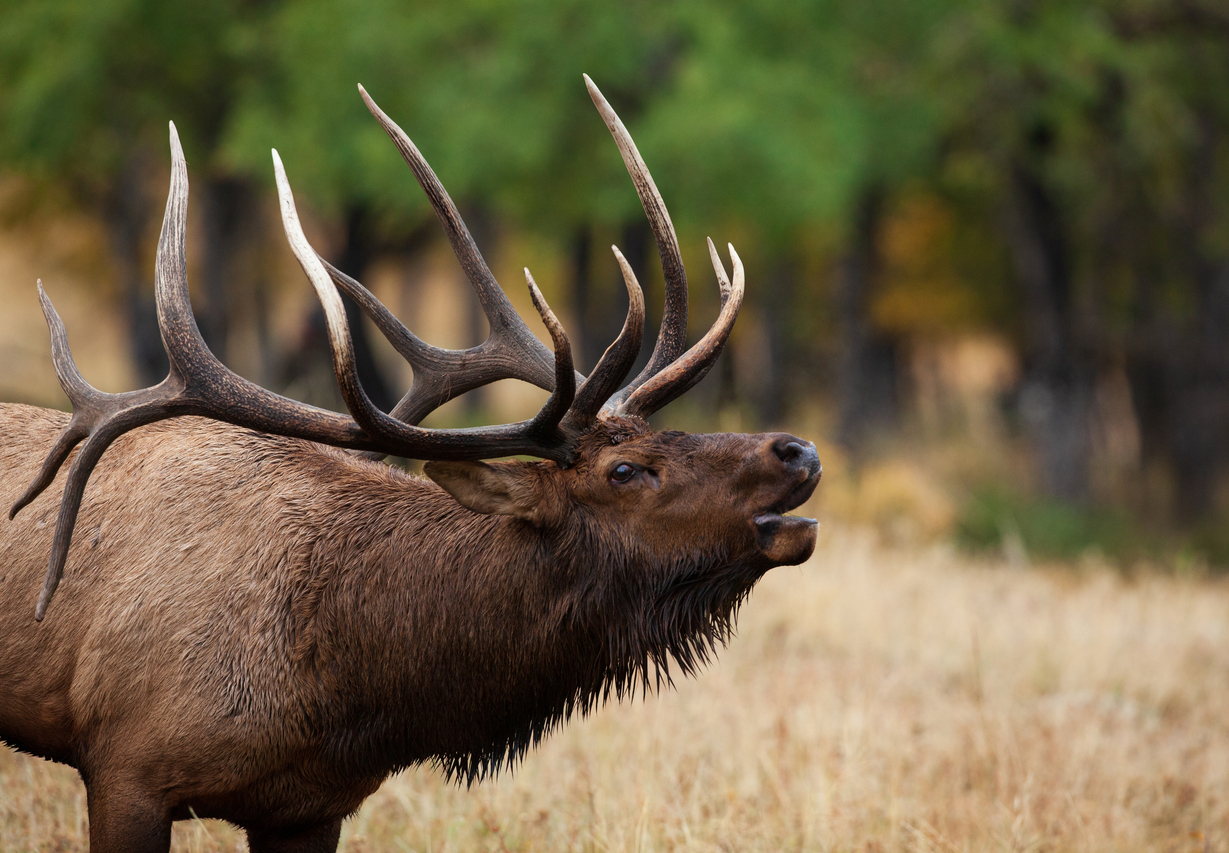 Colorado Parks and Wildlife Reminds Us That The Outdoors Are For Everyone