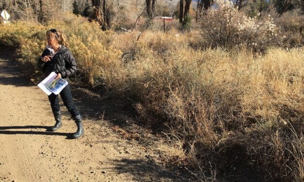 Forester proposes to mitigate fire risk overlooked by Envision