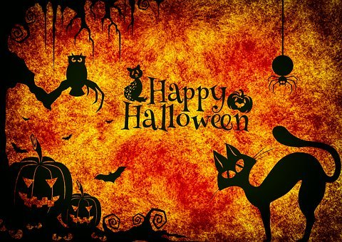 Halloween Events in Salida, Buena Vista, and Poncha Springs