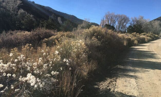 Chaffee Chips Wildfire Mitigation Events Continue into Fall