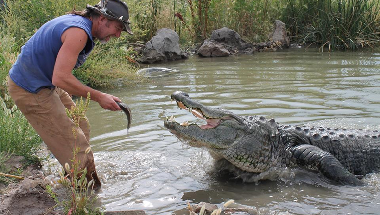 Colorado Gator Farm is Trying to Rebuild With Tooth Auction