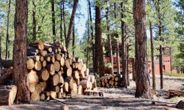 Colorado Firecamp receives Common Ground grant to support firefighter training, fire mitigation