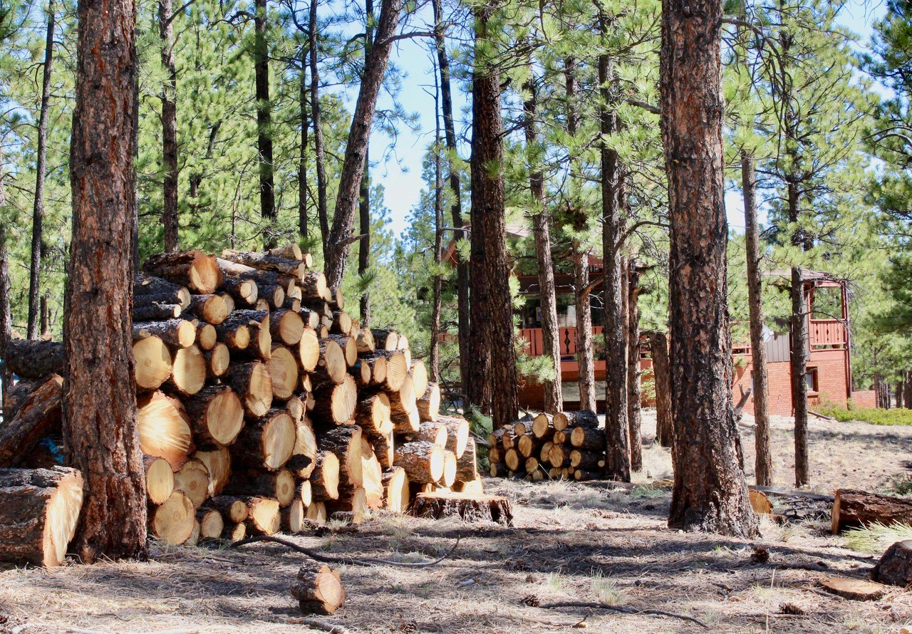 Colorado Firecamp receives Common Ground grant to support firefighter training, fire mitigation