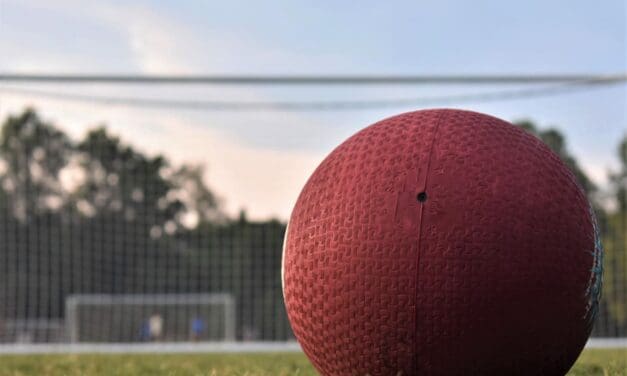 Salida Rec Organizing Adult Kickball League