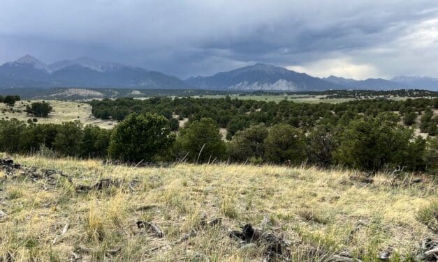 Central Colorado Conservancy Announces New 737-acre Conservation Easement near Nathrop