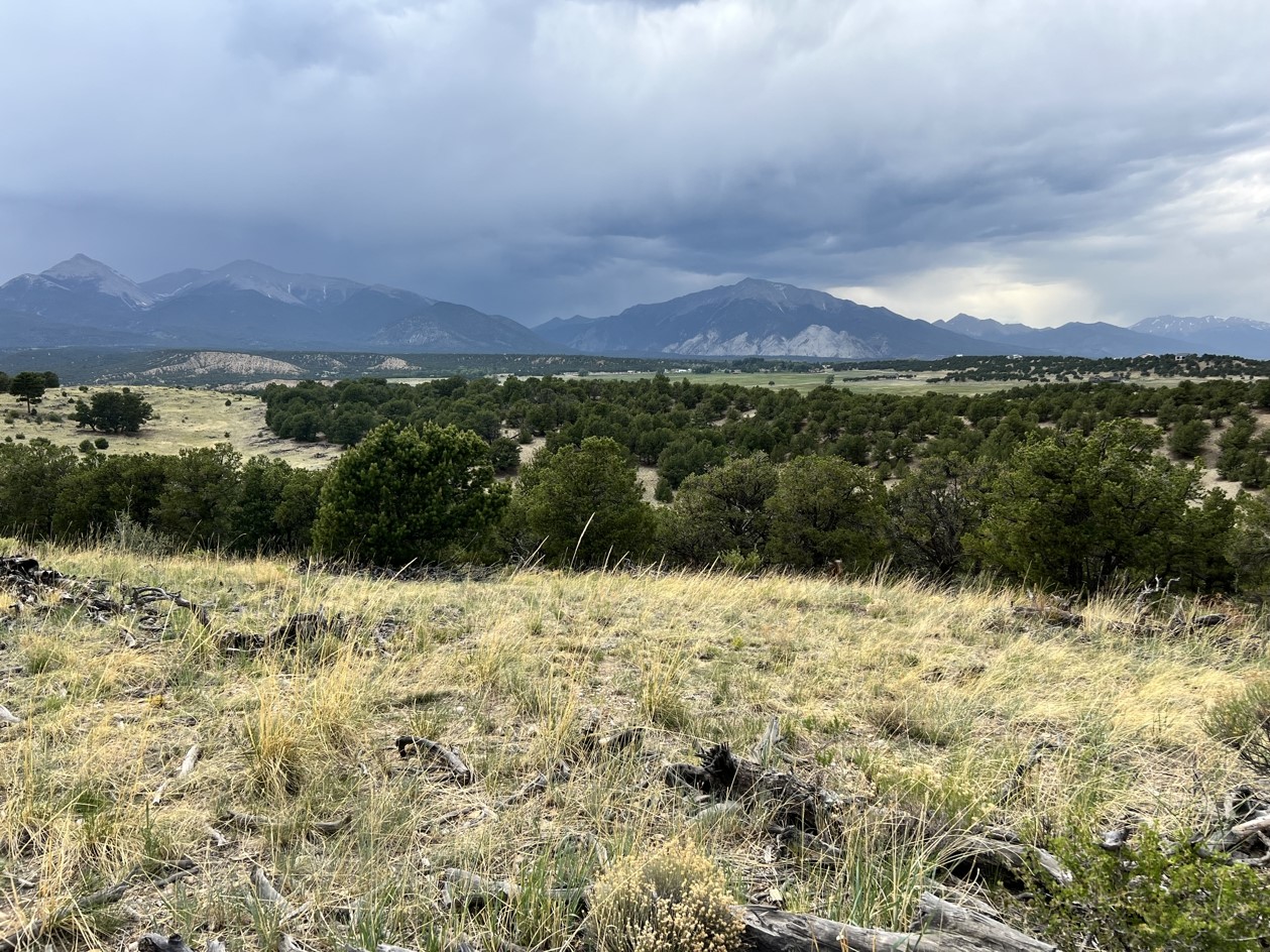 Central Colorado Conservancy Announces New 737-acre Conservation Easement near Nathrop