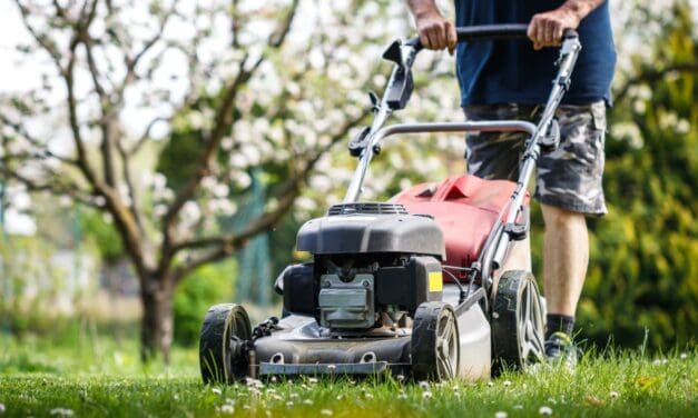 New Colorado Air Quality Regulation Could Ban Gas-Powered Chainsaws and Lawn Mowers