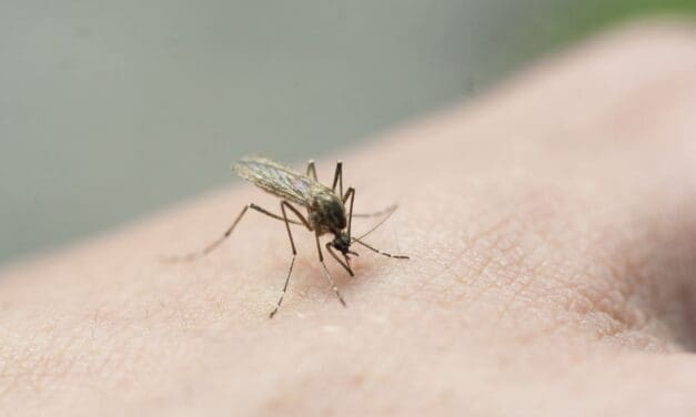 Officials Warning Against Exposure to West Nile Virus