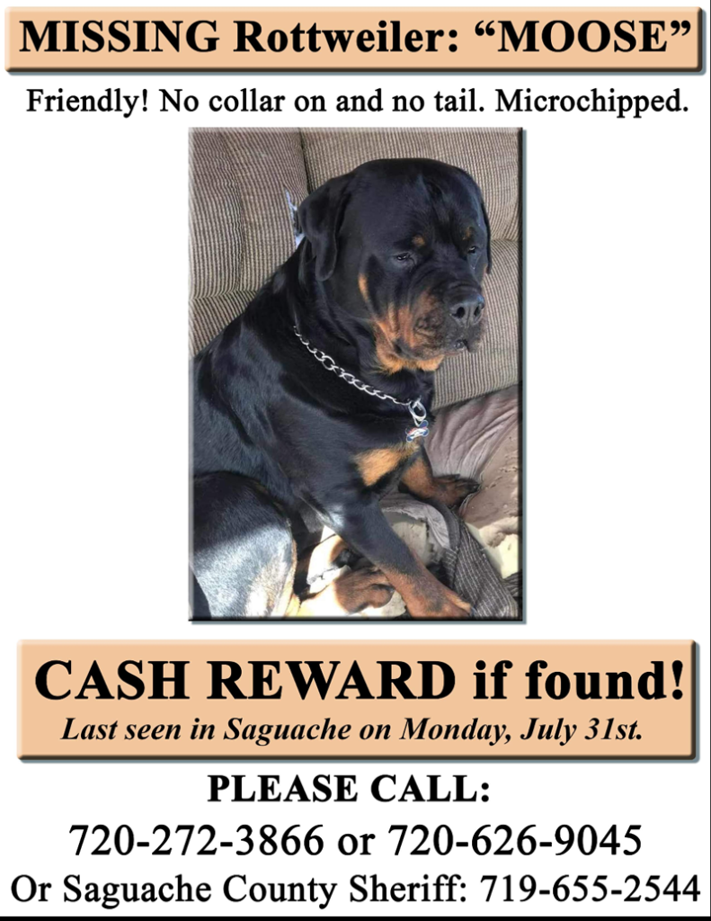 Missing rottweiler store