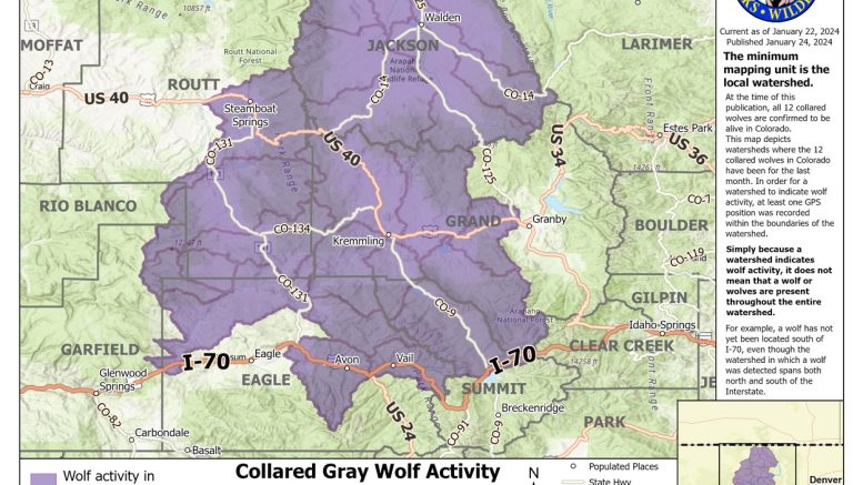 Gray Wolf Activity Map Released