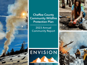Forest Health Council Reports Progress Toward Community Wildfire Resiliency-Greg Felt Talks Wildfire Mitigation with Dan R