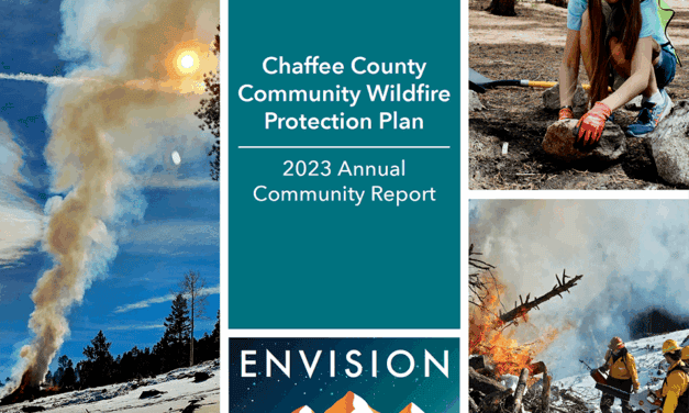 Forest Health Council Reports Progress Toward Community Wildfire Resiliency-Greg Felt Talks Wildfire Mitigation with Dan R