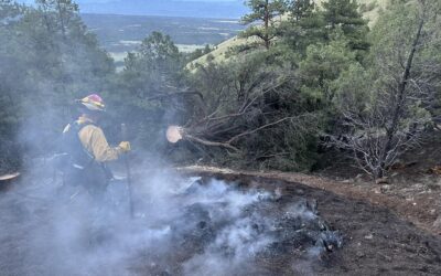 Quick Response by Chaffee County Fire Protection District Extinguishes Maysville Area Fire