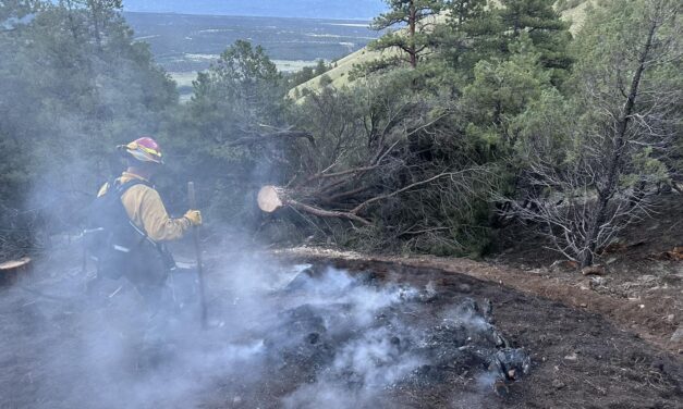 Quick Response by Chaffee County Fire Protection District Extinguishes Maysville Area Fire