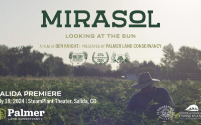 Film Review – ‘Mirasol: Looking at the Sun’