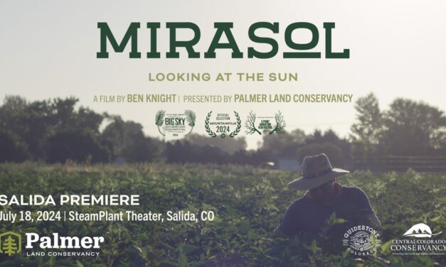 Film Review – ‘Mirasol: Looking at the Sun’