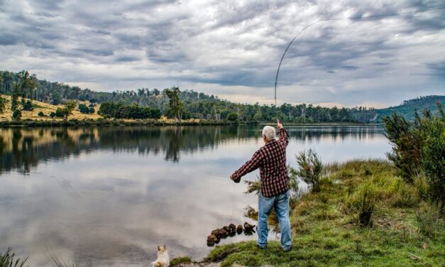 Colorado Fishing Licenses Now on Sale