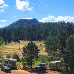 Woman and Dog Seriously Injured in Violent Assault Near Cripple Creek