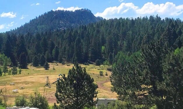 Woman and Dog Seriously Injured in Violent Assault Near Cripple Creek