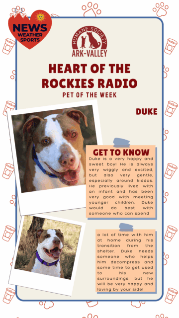 Meet Duke – Heart of the Rockies Radio Pet of the Week!