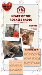 Meet Winnie – Heart of the Rockies Pet of the Week