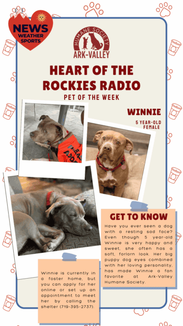 Meet Winnie – Heart of the Rockies Pet of the Week